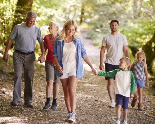 Multi Generation Family Enjoying Walk Along Woodland Path Together